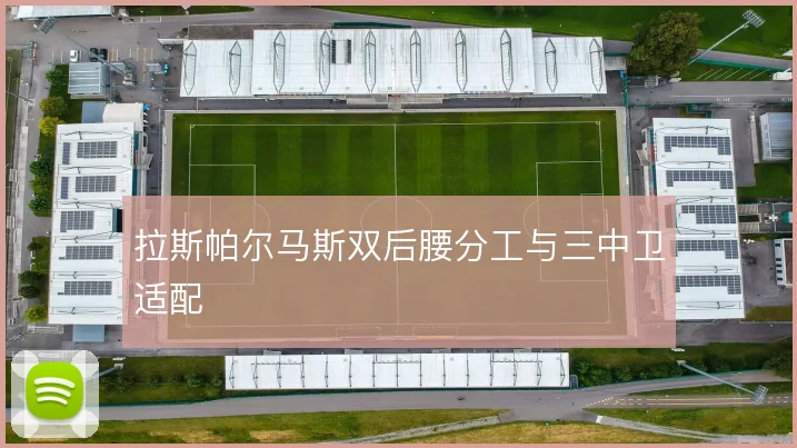 拉斯帕尔马斯双后腰分工与三中卫适配